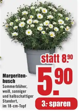 B1 Discount Baumarkt Margeriten- busch Angebot