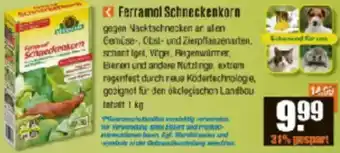 V Baumarkt Ferramol Schneckenkorn Angebot