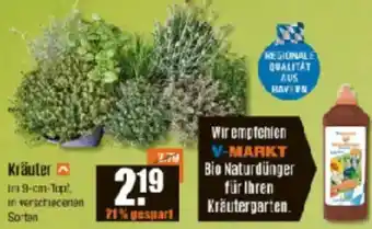 V Baumarkt Kräuter Angebot