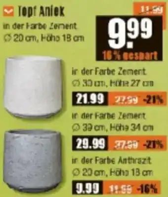 V Baumarkt Topf Aniek Angebot