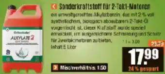 V Baumarkt Sonderkraftstoff für 2 Takt Motoren Angebot