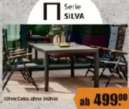 V Baumarkt Serie SILVA Angebot