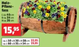 Thomas Philipps Holz Pflanzfass Angebot