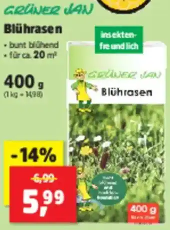 Thomas Philipps GRÜNER JAN Blührasen Angebot