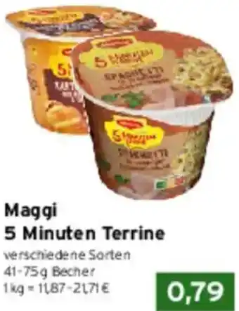 CAP Markt Maggi 5 Minuten Terrine Angebot