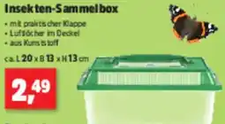 Thomas Philipps Insekten-Sammelbox Angebot