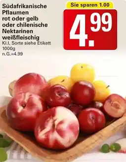 WEZ Südafrikanische Pflaumen rot oder gelb oder chilenische Nektarinen weißfleischig Angebot