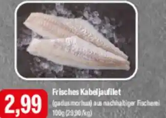 Feneberg Frisches Kabeljaufilet Angebot