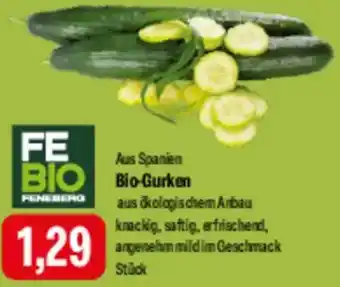 Feneberg Bio-Gurken Angebot