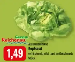 Feneberg Kopfsalat Angebot