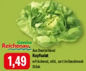 Feneberg Kopfsalat Angebot