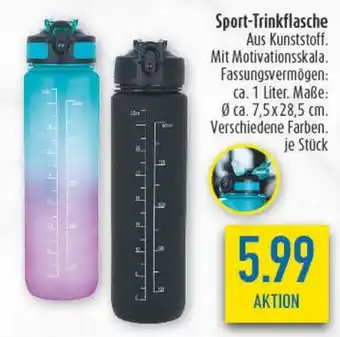 diska Sport-Trinkflasche Angebot