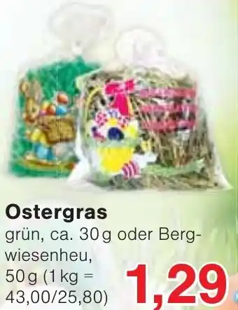 Wiglo Wunderland Ostergras Angebot