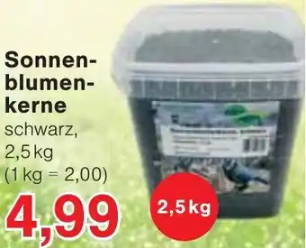 Wiglo Wunderland Sonnenblumenkerne Angebot