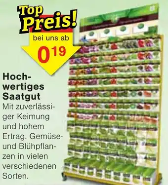 Wiglo Wunderland Hochwertiges Saatgut Angebot