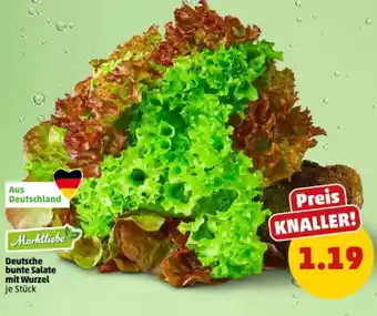 PENNY Marktliebe Deutsche bunte Salate mit Wurzel Angebot