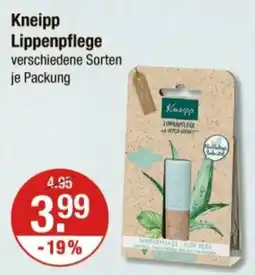 V Markt Kneipp Lippenpflege Angebot