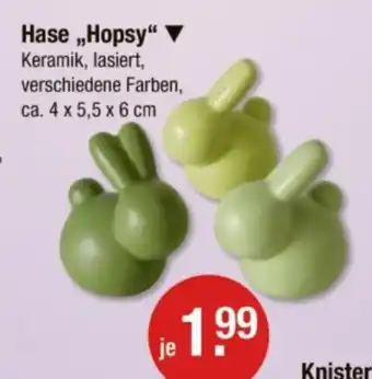 V Markt Hase,,Hopsy" Angebot