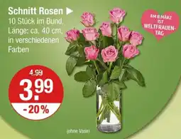 V Markt Schnitt Rosen Angebot