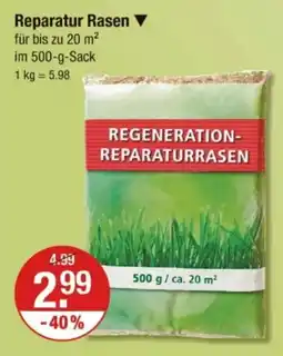 V Markt Reparatur Rasen Angebot