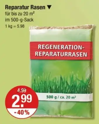 V Markt Reparatur Rasen Angebot