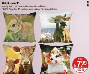 V Markt Dekokissen Angebot