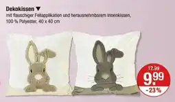 V Markt Dekokissen Angebot