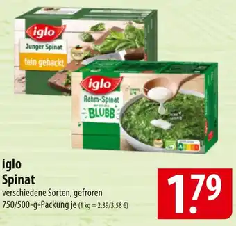 Famila Nord Ost iglo Spinat Angebot