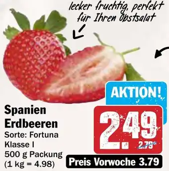 AEZ Spanien Erdbeeren Angebot