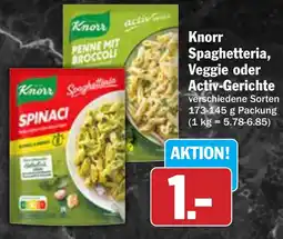 AEZ Knorr Spaghetteria, Veggie oder Activ-Gerichte Angebot