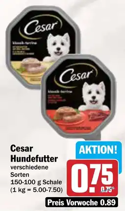 AEZ Cesar Hundefutter Angebot