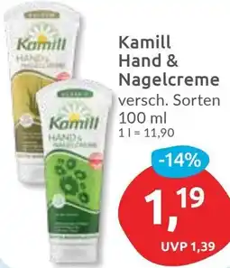 Budni Kamill Hand & Nagelcreme Angebot