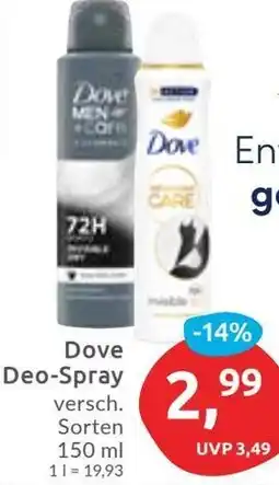 Budni Dove Deo-Spray Angebot