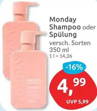 Budni Monday Shampoo oder Spülung Angebot