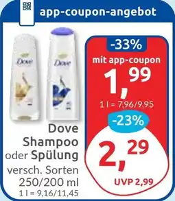 Budni Dove Shampoo oder Spülung Angebot