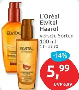 Budni L'Oréal Elvital Haaröl Angebot