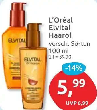 Budni L'Oréal Elvital Haaröl Angebot