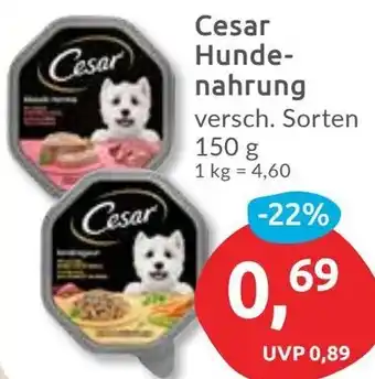 Budni Cesar Hundenahrung Angebot