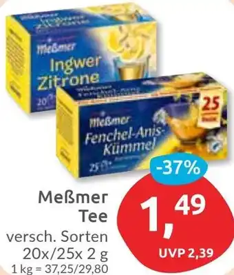 Budni Meẞmer Tee Angebot