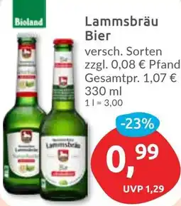 Budni Lammsbräu Bier Angebot