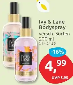 Budni Ivy & Lane Bodyspray Angebot