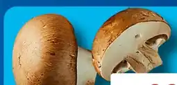 Aldi Süd Champignons Angebot