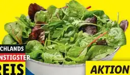 Lidl Mix-Salate Angebot