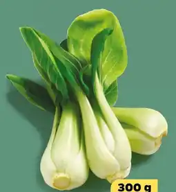 NETTO Mini Pak-Choi Angebot