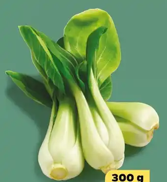 NETTO Mini Pak-Choi Angebot