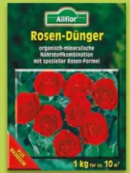 NETTO Allflor Rosendünger Angebot