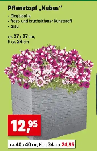 Thomas Philipps Pflanztopf kubus Angebot