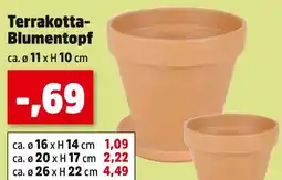 Thomas Philipps Terrakotta-blumentopf Angebot