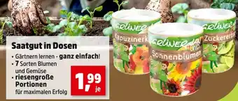 Thomas Philipps Grüner juno kapuzinerkresse oder sonnenblumen oder zuckererbsen Angebot