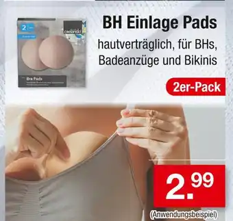 Zimmermann Crelando bh einlage pads Angebot